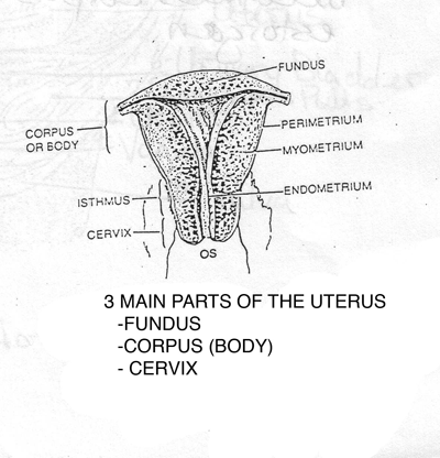 AHS269 lecture 9